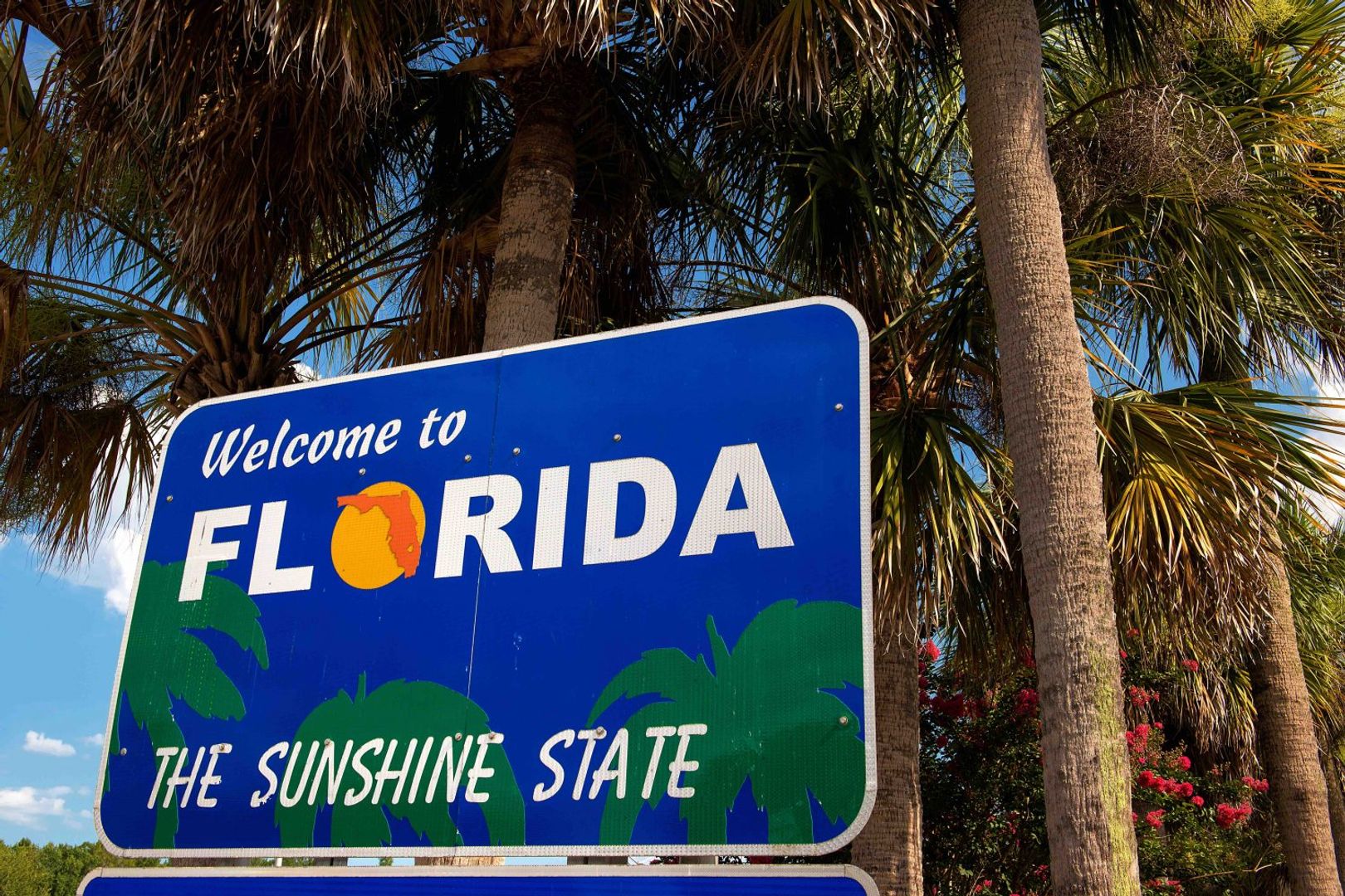 Florida Withdraws Strategic Bitcoin Reserve Bills From Consideration-credit coindesk