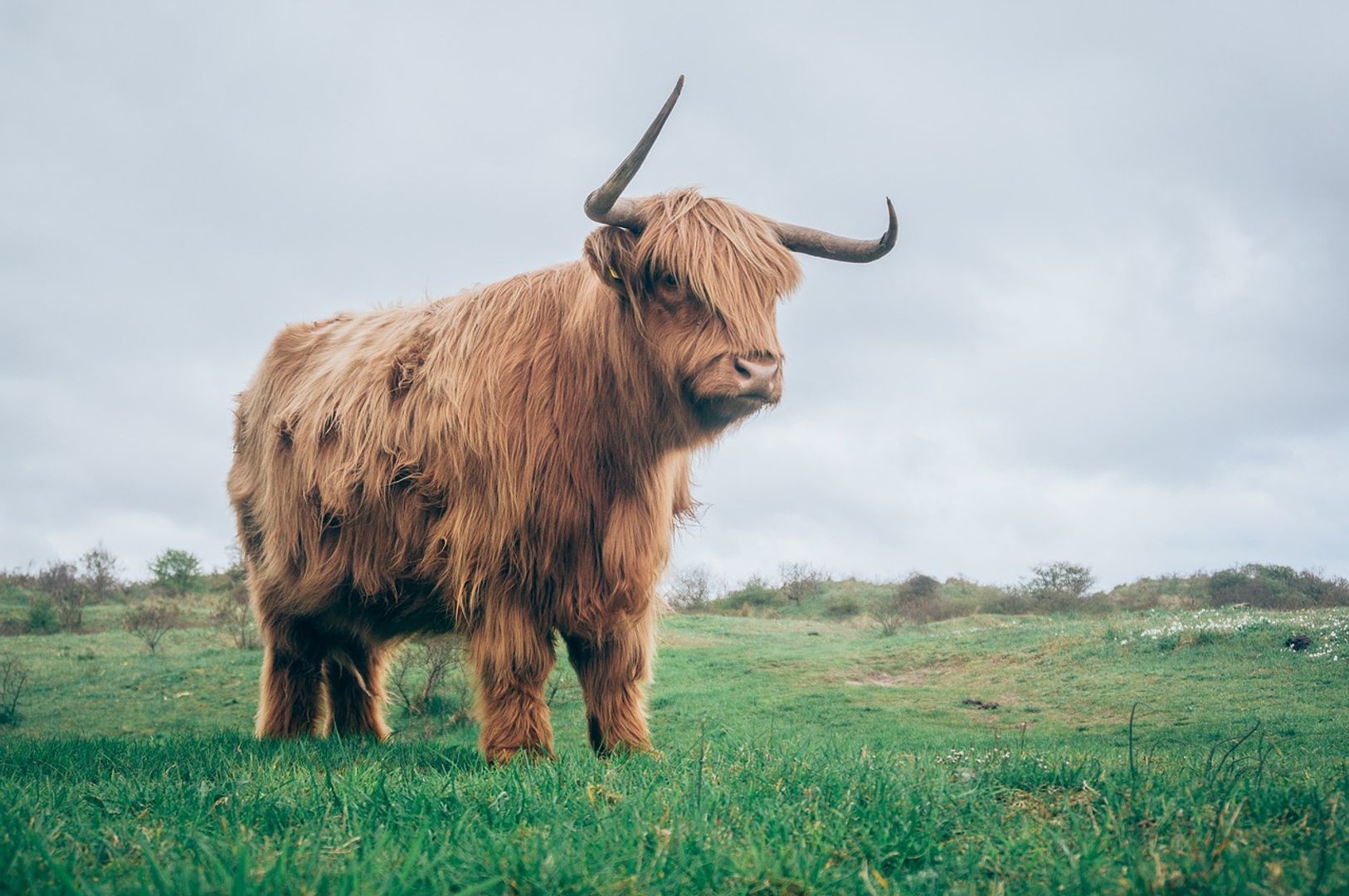 Privacy-Focused Zcash Tops Key Resistance Above $40 to Flash Bull Signal-credit coindesk