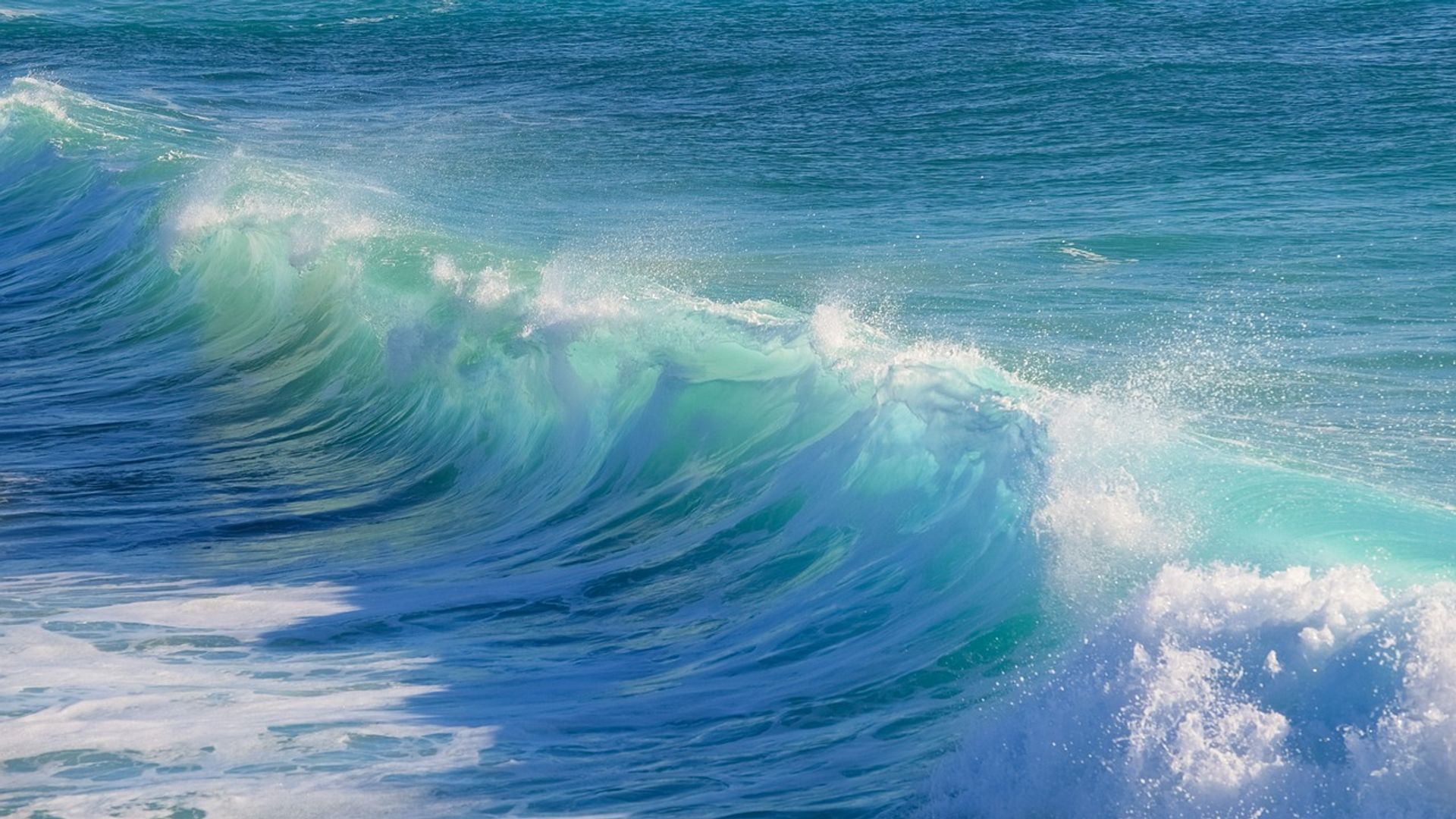 Crypto Daybook Americas: Bitcoin Weakness Fails to Stop Corporate Adoption Wave-credit coindesk