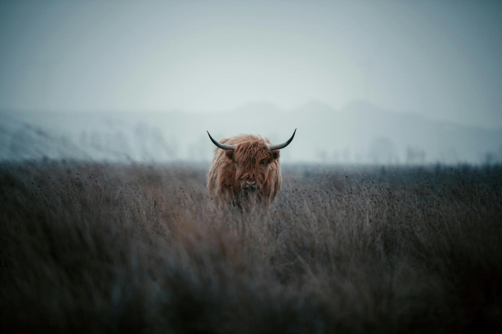Bitcoin Steady Above $104K as Traders Eye Historically Bullish Second Half-credit coindesk